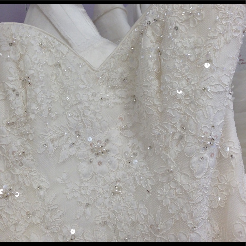 Maggie Sottero Wedding Gown - Picture 3 of 4
